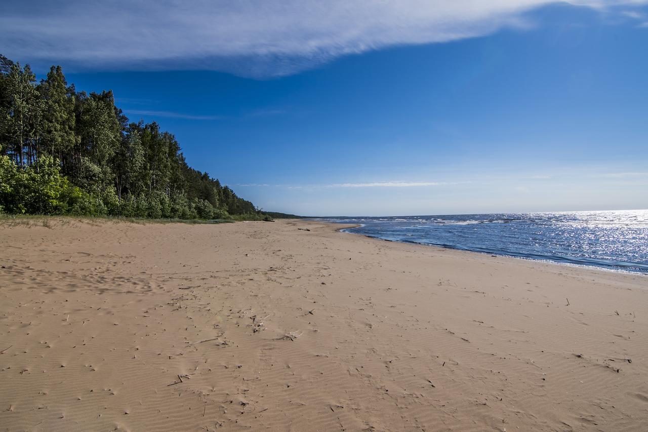 Pine Resort Саулкрасты Экстерьер фото